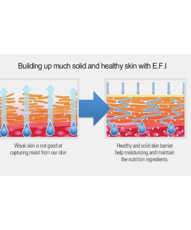 Sidmool Galatokside real ingredient real skin 33ml barrier serum n.m.f e.f.i moisturizing sold - Buy Online on GoSupps.com