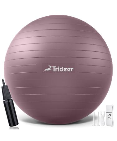 Trideer Exercise Ball, Nature Themed Yoga Ball, Easily Inflated Ball Chair, for Workout, Stability, Balance, Physical Therapy & Pregnancy, Quick Pump Included Rosy Morning Glow L (23-26ines / 58-65cm)