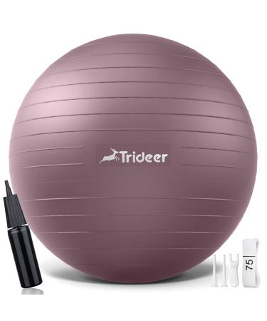 Trideer Exercise Ball, Nature Themed Yoga Ball, Easily Inflated Ball Chair, for Workout, Stability, Balance, Physical Therapy & Pregnancy, Quick Pump Included Rosy Morning Glow L (23-26ines / 58-65cm) - Buy Online on GoSupps.com