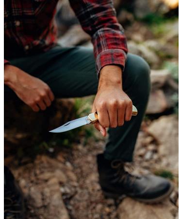 Buck Knives 110 Folding Hunter Knife with Brass Bolsters and Ebony Handles | 3-3/4 420HC Blade | Includes Leather Sheath - Buy Online on GoSupps.com