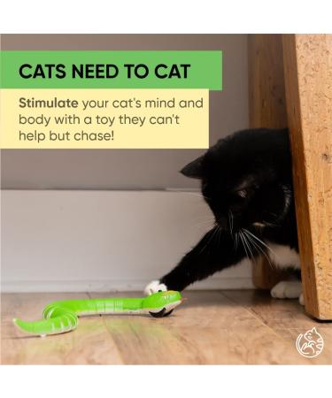 Remote Control Snake Cat Toy - Interactive RC Toy Snake for Active Indoor Cats | Realistic and USB Charged - AmazinglyCat - Buy Online on GoSupps.com