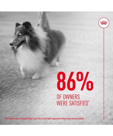 Royal Canin Dog Supplement for Skin & Coat Soft Chews 240g - Buy Online on GoSupps.com