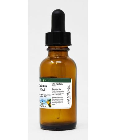 Calamus Root - Glycerite Liquid Extract (1:5) - No Flavor (1 fl oz ZIN: 428076) - 2 Pack - Buy Online on GoSupps.com