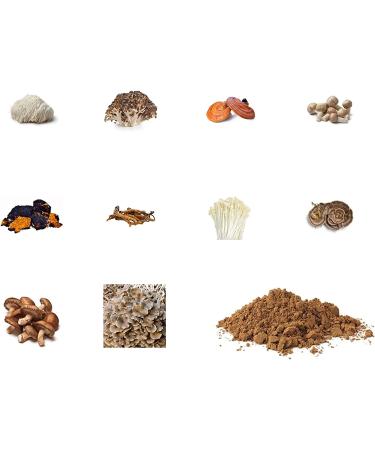 Organic Mushroom Extract Powder - 10 Blend Lions Mane, Cordyceps, Reishi, Shiitake, Turkey Tail - Nootropic Brain Supplement for Energy, Focus & Immune Support - Buy Online on GoSupps.com