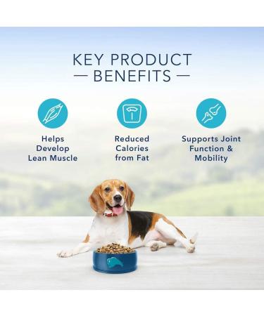 Blue Buffalo Life Protection Formula Healthy Weight Large Breed Dog Food & Life Protection Formula Adult Dog Food - Natural Dry Dog Food for Adult Dogs - Chicken and Brown Rice Healthy Weight Large Breed Chicken Large Bag + Dog Food - 11.7 Kg - Buy Online on GoSupps.com