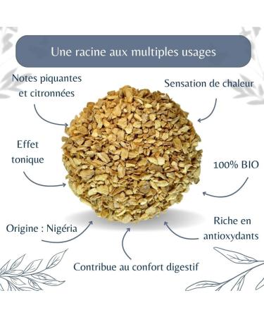 Gingembre Bio en Morceaux en Vrac - Infusion et Tisane Digestion et Bien- tre - Zingiber Officinale Roscoe - Agriculture Biologique - Conditionn en France - Sachet de 100g (50 Tasses) 100 unit (Lot de 1) - Buy Online on GoSupps.com
