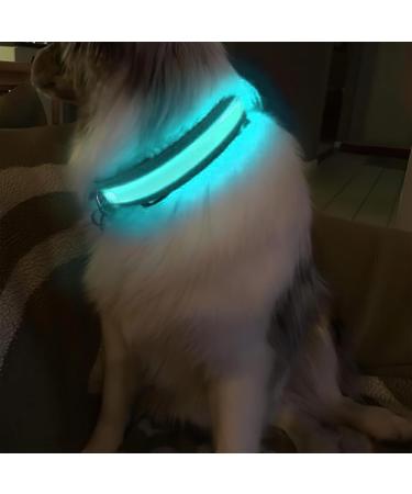 Masbrill Luminous Dog Collar - Waterproof LED Adjustable Light-Up Band for Small Medium & Large Dogs (28-40cm) - 3 Light Modes - Black - Buy Online on GoSupps.com