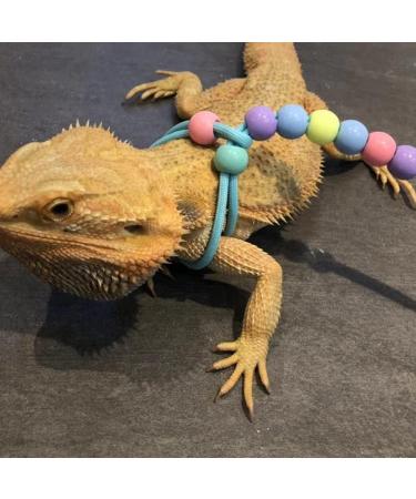 Balacoo Bearded Dragon Leash Adjustable Lizard Harness Adjustable Safety Walking Leash for Reptiles Amphibians Small Pet Animals - Buy Online on GoSupps.com