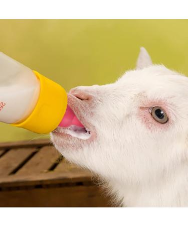 Lamb Nursing Bottle Nipples - Rubber Replacement Nipples for Goat, Sheep, Calf - Livestock Supplies in Red - Buy Online on GoSupps.com