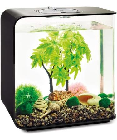 Biorb 55029 Decor Set 30L Sommer - Realistic Artificial Aquatic Plants & Stones for Freshwater & Saltwater Aquariums - Buy Online on GoSupps.com