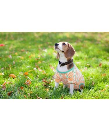 Buy Pumyporeity Surgical Suit for Dogs | Healing Anti-Licking Vest for Abdominal Wounds - XL D Apple - International Shipping - Buy Online on GoSupps.com