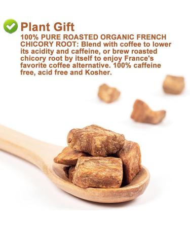 Flower 2 (180G-Chicory Root) - Buy Online on GoSupps.com