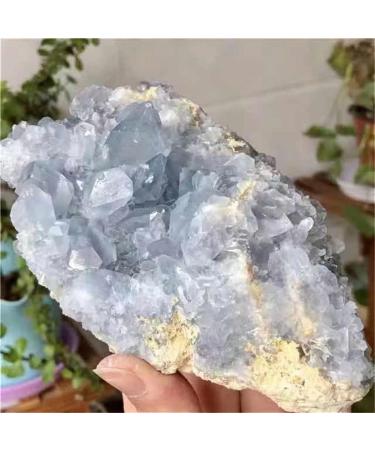 Room Decoration 1pc Large Size Natural Raw Blue Celestite Geode Rough Stone Quartz Crystal Cluster 1300g-1800g for Decoration Suitable for Furniture Decoration (Size : 1PC1710g-1800g) - Buy Online on GoSupps.com