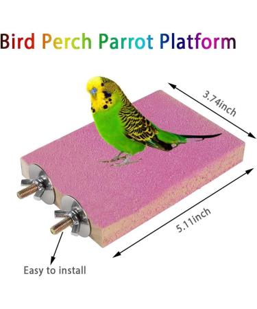 Hanging Bell Bird Cage Swing Toy Set for Small Parakeets, Cockatiels, Conures - 8Pcs Wooden Perch & Chewing Toys for Budgies, Lovebirds, Macaws | Bird Parrot Toys - Buy Online on GoSupps.com