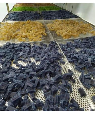 Organic Sea Moss Gummies - Vegan Immune Support Vitamin C Anxiety Relief & Skin Health - Buy Online on GoSupps.com