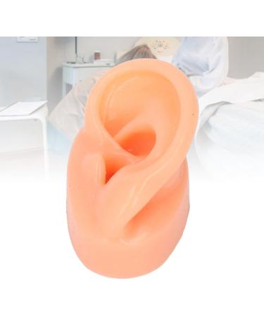 Silicone Ear Model - Soft Simulation Hearing Tool for Sound Aid Display (Left Ear) - Fleshcolor with Black Stand - 1 Count - Buy Online on GoSupps.com