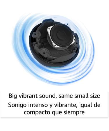 Echo Dot 5th Gen (2022) | International Version w/ US Power | Alexa Smart Speaker - Charcoal - Buy Online on GoSupps.com
