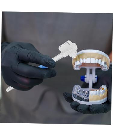 Buy Gleavi 15 StK Prosthesis Cleaning Brush - Double-Sided Toothbrush for False Teeth Care Tools | International Shipping Available - Buy Online on GoSupps.com