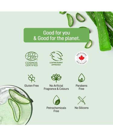 Refresh Botanicals Oil Balancing Facial Moisturizer | With Aloe & Cucumber | For Oily Skin | ECOCERT COSMOS Organic | Paraben & Chemicals free - Buy Online on GoSupps.com