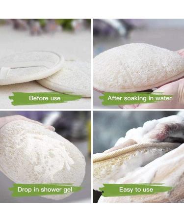 Natural Luffa Sponge Set (6 Pieces) - Perfect for Bathing Spa & Showers | Eco-Friendly Exfoliating Pads for Men & Women - Buy Online on GoSupps.com