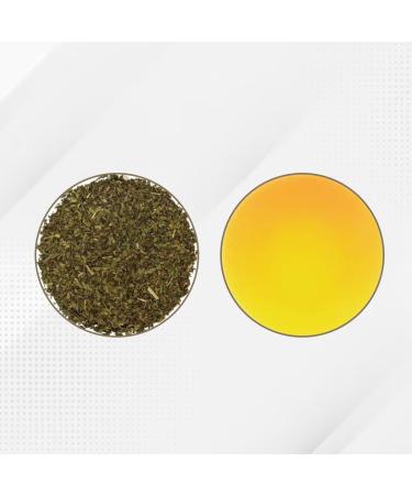 Moroccan Mint Tea | India's Original Tea (50 cups) | Helps with Digestion & Improves Respiratory Functions - Buy Online on GoSupps.com