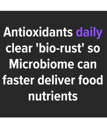 Culinary Antioxidants - Microbiome Friendly Liquid Fermented Botanicals | Pumpkin Pie Flavor | International Shipping - Buy Online on GoSupps.com