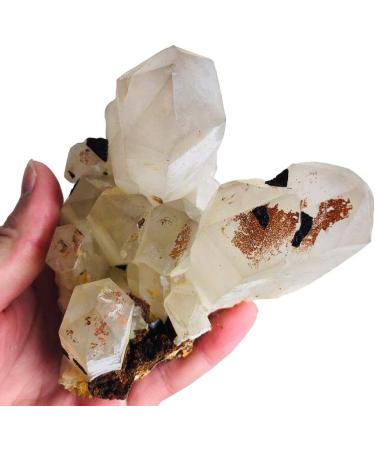 Natural Crystal Rough 1pc 300g-500g Natural Clear Smoky Quartz Cluster Bulk Crystal Cluster geode Crystal Specimen for Sale - Buy Online on GoSupps.com