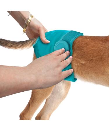 Buy XL Washable Dog Diapers | Simple Solution - Eco-Friendly & Leak-Proof Shipping Worldwide - Buy Online on GoSupps.com