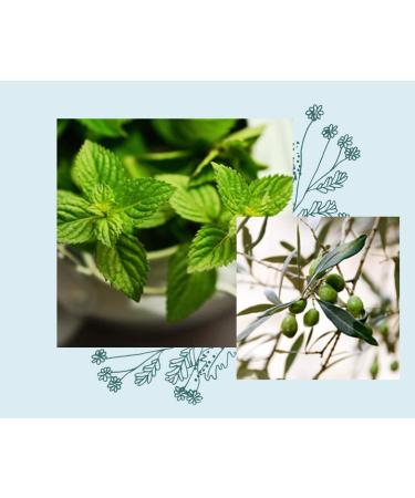 Officina Naturae Solara Dishes Detergent Solid Peppermint Organic Sustainable Vegan Plastic Free 180g - Buy Online on GoSupps.com