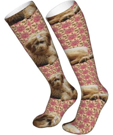 Goldendoodle & Roses Compression Socks for Men & Women | 15-20 mmHg Support for Running & Cycling - Buy Online on GoSupps.com