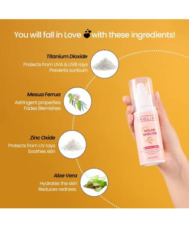 Solar Shelter Sunscreen SPF 50 - Broad Spectrum PA+++ - Lightweight Matte Finish - 100ml - International Shipping Available - Buy Online on GoSupps.com