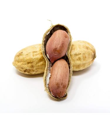 Premium USA Grown Raw Peanuts in Shell for Squirrels - Unsalted & Boiled Jumbo Peanuts for Birds - Green - Buy Online on GoSupps.com