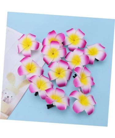 Didiseaon Summer Hair Clips Flower Hairpin Hawaiian Hair Flower Clip Plumeria Hair Clips for Girls Girl Hair Clips Hair Pin Plumeria Hairpin for Girl Accessories Hibiscus Flower - Buy Online on GoSupps.com