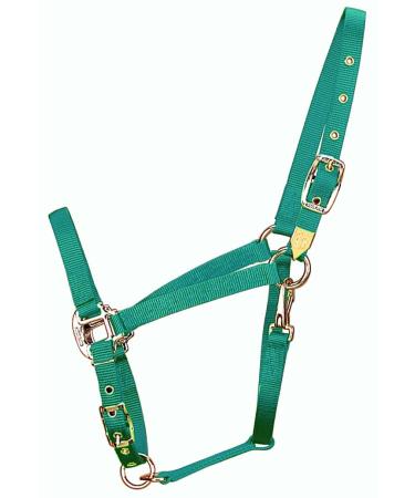 Hamilton 3/4-Inch Nylon Arabian Horse With Adjustable Chin and Throat Snap Average 800 to 1100 Pounds Green Average 800 to 1100 Pounds Green