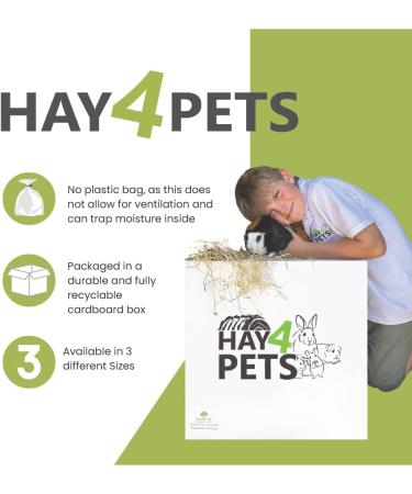 Hay4Pets Meadow Hay - 12.6kg. Fresh Green Feeding Hay For Rabbit Guinea Pig Hamster & Small Animals. High Fibre Natural Food For Pets. Dried Grass Animal Feed 12.6 kg (Pack of 1) - Buy Online on GoSupps.com