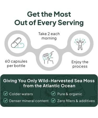 Organics Ocean Wild Sea Moss Capsules - 100% Organic Irish Sea Moss with Organic Chlorella Bladderwrack and Vitamin D for Energy Lung Health and Thyroid Support for Women and Men - 60 Capsules 60 Count (Pack of 1) - Buy Online on GoSupps.com