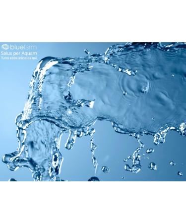 Blue Farm Srl BLUE FARM Spa water concentrated at 3 ml 5000 The light Aqua with mineral salts from the Dead Sea 3 trace elements - Buy Online on GoSupps.com