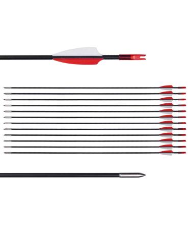 CUPID 31" Training Arrows-Archery Practice Target Arrows with Durable Shaft Blunt Tip for Kids Youth or Beginners on Recurve Bow Long Bow 12pcs arrows Red