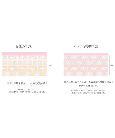 NATURIE Hatomugi Skin Conditioning Milk Lotion - Set of 2 x 230 ML - Coix Seed & Honeybee Extracts - Made in Japan - Buy Online on GoSupps.com