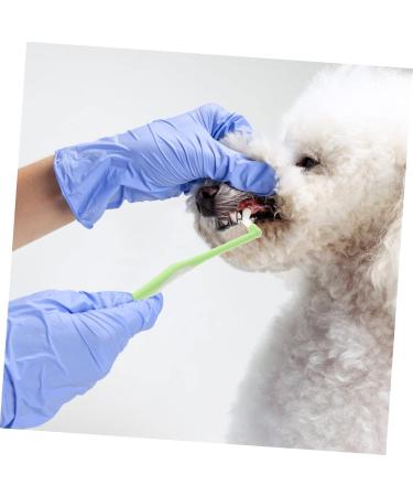BESPORTBLE 1pc Pet Single Head Toothbrush Dog Toothbrush and Toothpaste Teeth Care Brush Cleaning Kits Plastic 1 count (Pack of 1) Random Color - Buy Online on GoSupps.com