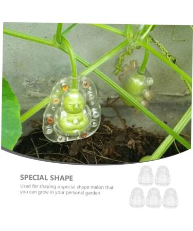 Kisangel 5pcs Vegetable Mold Ginseng Melon Shaping Multi-Function Fruit Mold Gourd Shaper - Buy Online on GoSupps.com