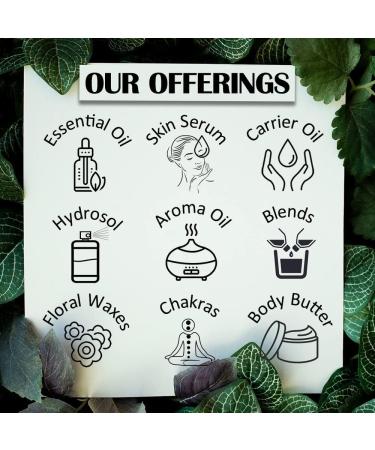 d ve herbes Aloe Vera Oil (Aloe barbadensis) with Glass Dropper | Infused | Pure | Natural | for Diluting Essential Oils | for Skin & Massage | Non-Sticky | Lightweight | Unisex | 120ml (4 oz) - Buy Online on GoSupps.com