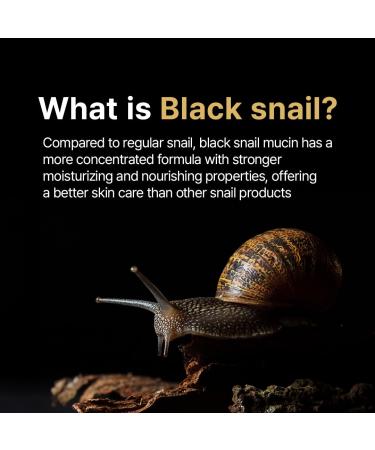 Farmstay Black Snail & Peptide 9 Perfect Toner + Cream Snail Mucin Toner for Elastic & Glow Skin Moisturizing & Anti-Aging Korean Skin Care for Women & Men - Buy Online on GoSupps.com