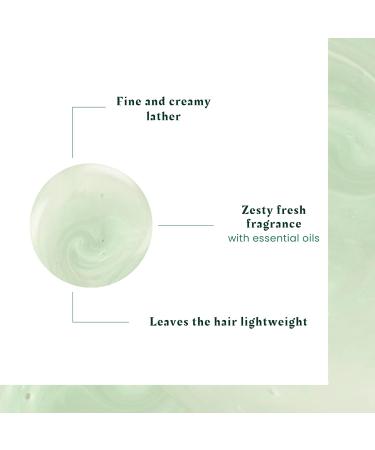 Ren Furterer - CURBICIA - Purifying Lightness Shampoo - Shampoo For Oily Hair - Sebum Control - 150ml - Buy Online on GoSupps.com
