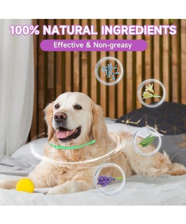 Woyamay Calm Collar for Dogs | Adjustable Luminous Stress Relief Collar with Pheromones | Natural Calming Solution for All Dog Sizes - 2 Pieces (Green) - Buy Online on GoSupps.com