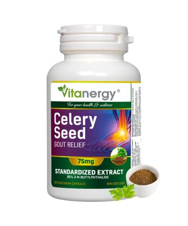 Vitanergy Celery Seed Value Pack Gout Relief Antioxidant Support 75mg with 15:1 Extract Ratio 150 Vegan Capsules 75-Day Supply Made in Canada