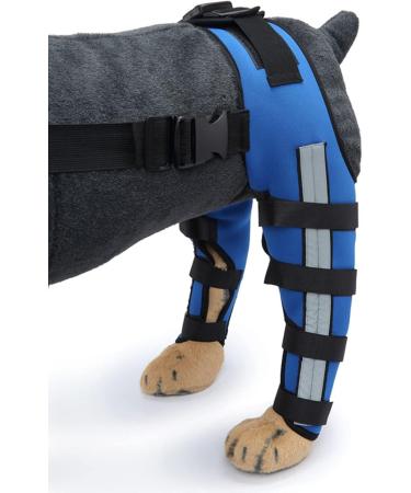 Jauarta Dog Hind Leg Brace Breathable Elastic Shockproof Dog Leg Protector for Pets and Dogs (L) - Buy Online on GoSupps.com