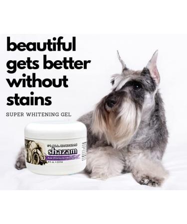 Buy #1 All Systems Shazam Super Whitening Gel with Applicator Brush | Fast International Shipping - Buy Online on GoSupps.com