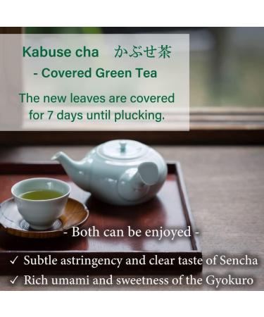  First Flush Saemidori Cultivar Premium Kabusecha Deep Steamed Green Tea Fukamushi Sencha Loose Leaf from Kagoshima Japan | Japanese Tea KIMIKURA (210g/7.2oz (70gx3packs set)) - Buy Online on GoSupps.com