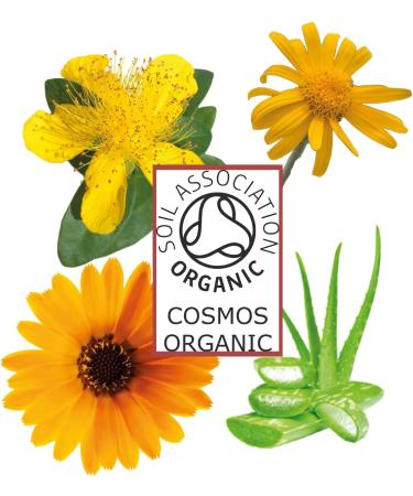  O l na Intensive Massage Oil Arnica Calendula Aloe Vera Macerated Oil Body & Face Oil Rosemary & Eucalyptus Calming End Hair Removal of Spieron & Natural Moisturizer 50 ml - Buy Online on GoSupps.com